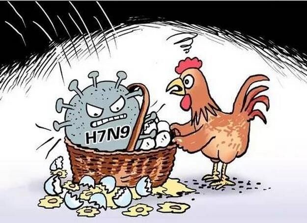 禽流感最新消息2017年,黔南h7n9禽流感患者在积极救治中